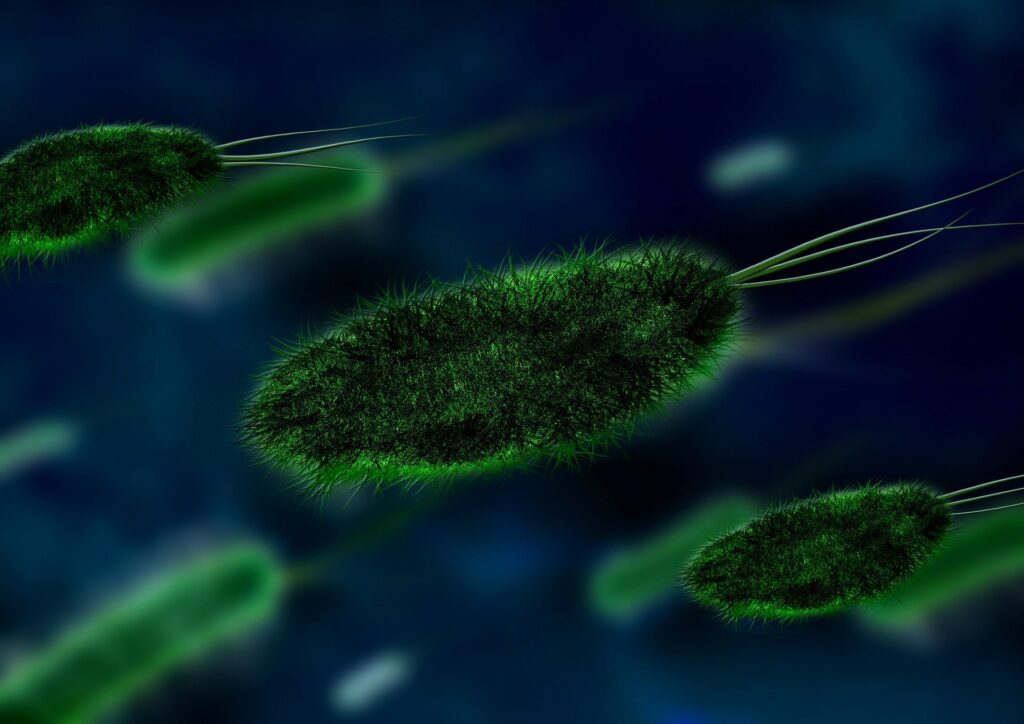 İnsan Bağırsağından Antik Mikrobiyal Genomların Yeniden İnşası