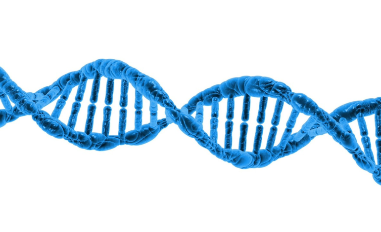  Kana Enjekte Edilen CRISPR İlk Kez Genetik Bir Hastalığı Tedavi Ediyor!