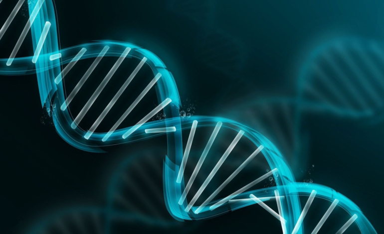 DNA ne demek? DNA ne işe yarar neden önemlidir? DNA kelimesinin kökeni nedir? (Etimolojisi)