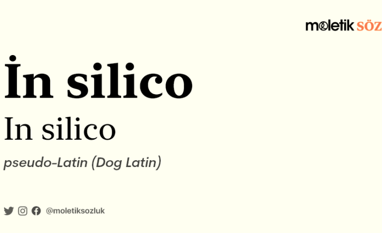 In Silico ne demek? in silico ne anlama geliyor? Silikon ile ilgisi nedir?