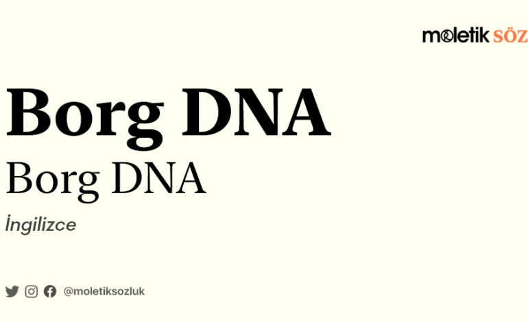 Borg DNA Nedir? Borg DNA ne anlama geliyor? Kökeni nedir?