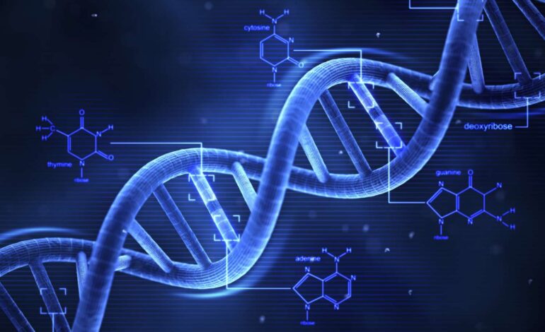  DNA Yapısı ve Fonksiyonu