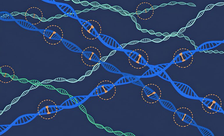 Genom Çapında İlişkilendirme Çalışmaları (GWAS) Nedir? Nasıl Yürütülür?