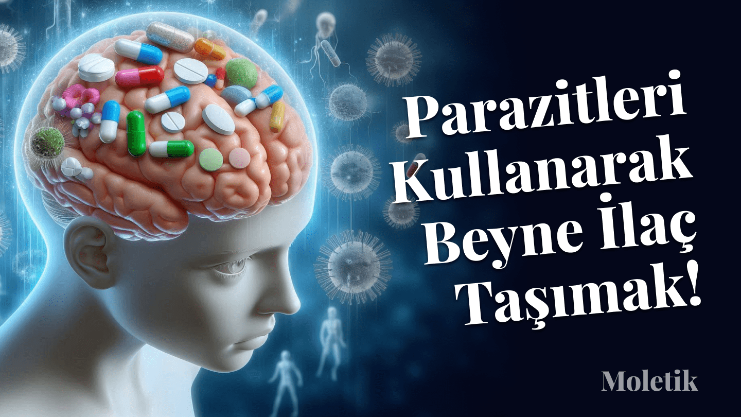 Bilim İnsanları Parazitler Aracılığıyla Doğrudan Beyne İlaç Taşımayı Hedefliyor!