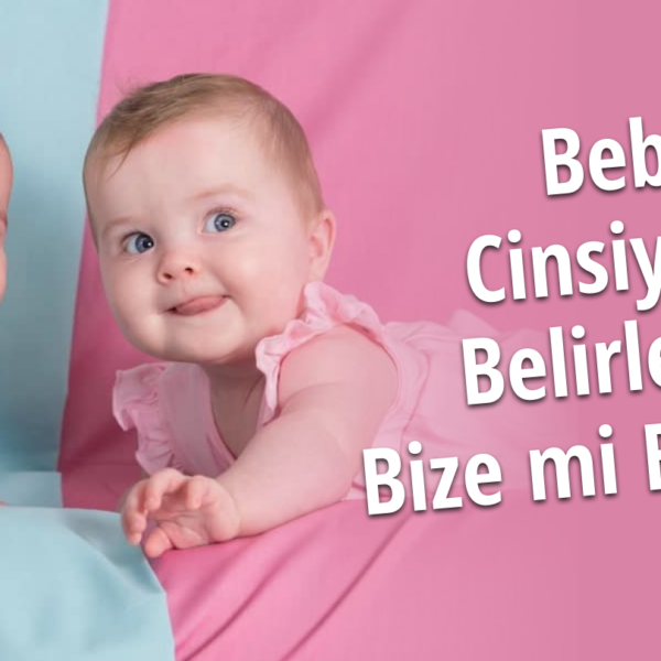 Bebeğin Cinsiyetini Belirlemek Bize mi Bağlı? Çin Takvimi ile Bebeğin Cinsiyetini Belirleme Üzerine Yapılan Araştırmalar