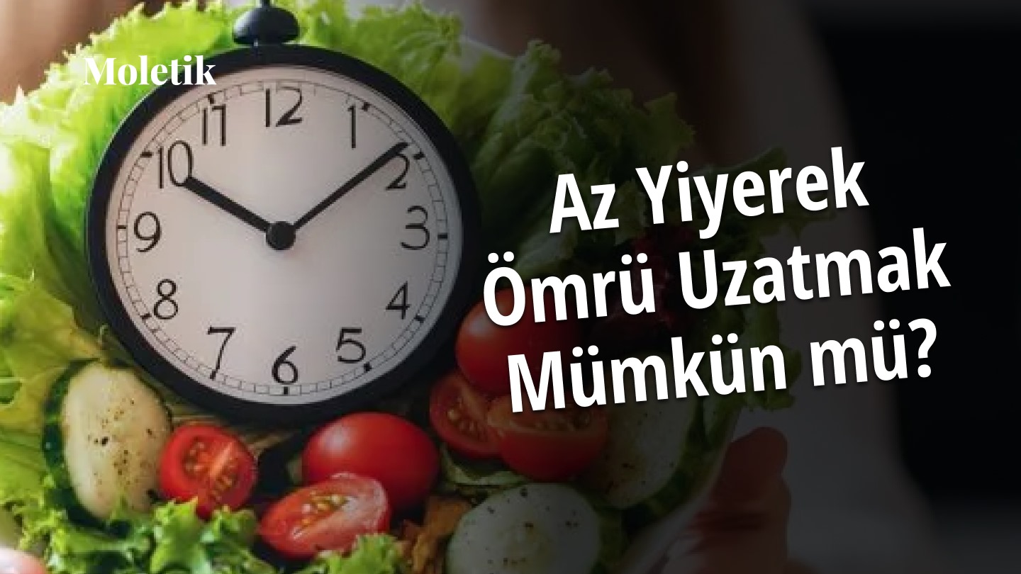 Az Yiyerek Ömrü Uzatmak Mümkün mü? Uzun Yaşam Konusunda Bilimsel Araştırmalar Ne Diyor?