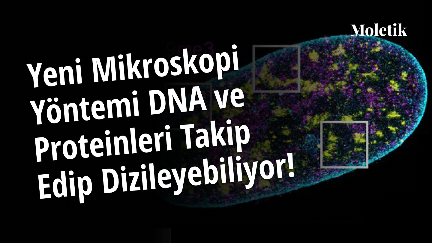 Yeni Mikroskopi Yöntemi DNA ve Proteinleri Hücreyi Açmadan Takip Edip Dizileyebiliyor!