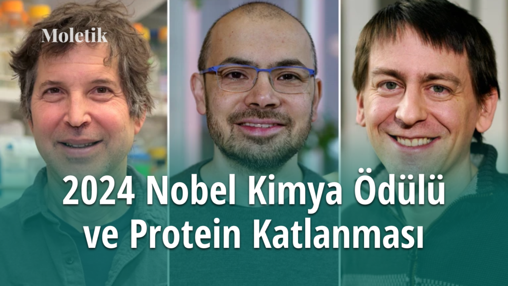 Yapay Zekâ Bilim Dünyasında Devrim Yaratıyor: 2024 Nobel Kimya Ödülü ve Protein Katlanması