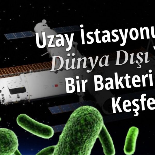 Çin Uzay İstasyonunda Dünya Dışında Yeni Bir Bakteri Türü Keşfedildi!