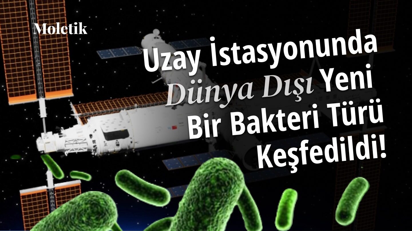 Çin Uzay İstasyonunda Dünya Dışında Yeni Bir Bakteri Türü Keşfedildi!