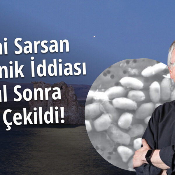 Bilimi Sarsan Arsenik Temelli Yaşam Hipotezi Çöktü mü? Science 15 Yıl Sonra Makaleyi Geri Çekti