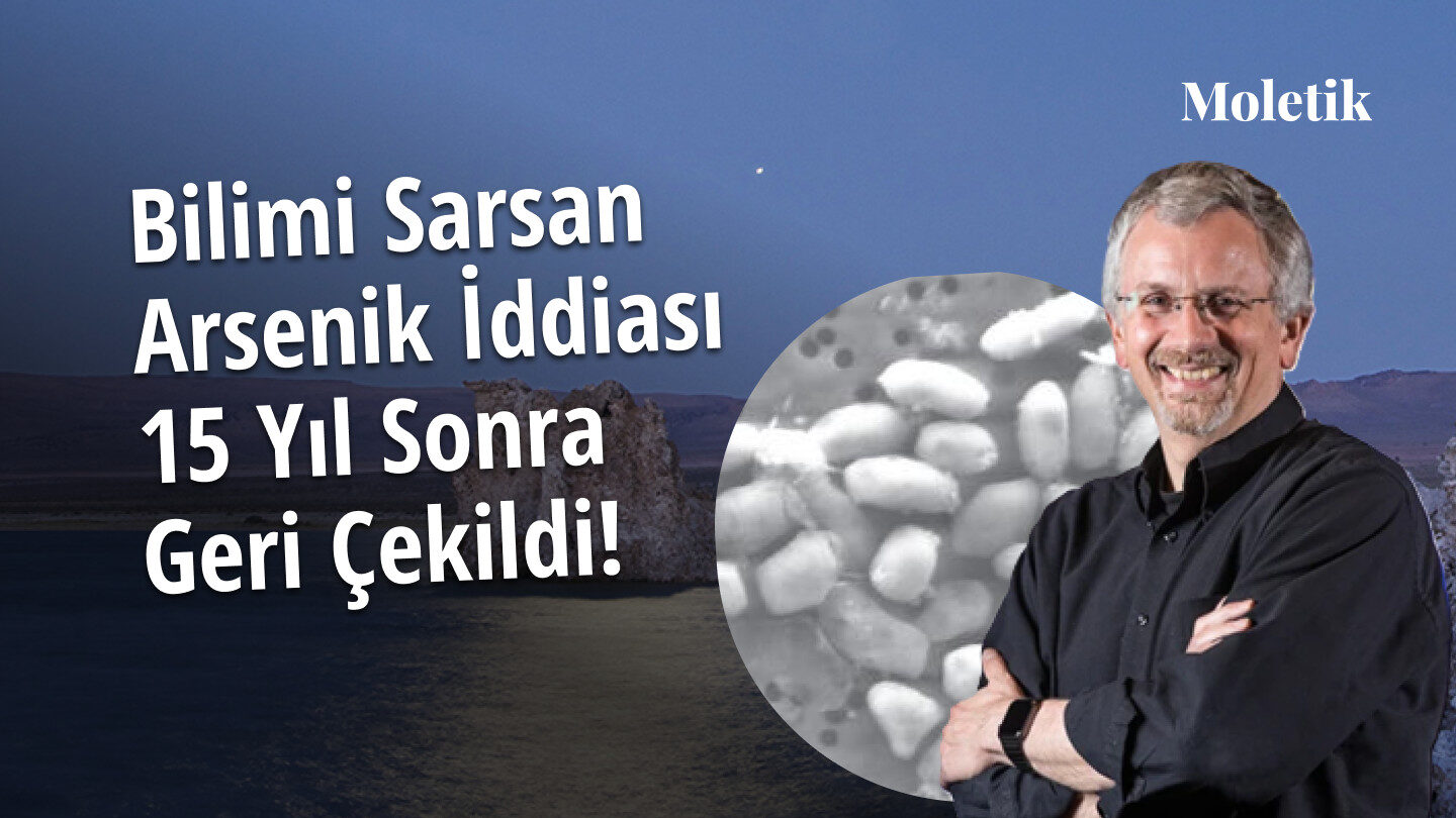 Bilimi Sarsan Arsenik Temelli Yaşam Hipotezi Çöktü mü? Science 15 Yıl Sonra Makaleyi Geri Çekti