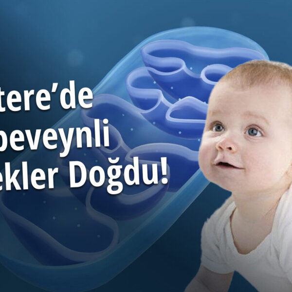 Üç Ebeveynli Bebekler Doğdu! Kalıtsal Mitokondriyal Hastalıklar Tarih mi Oluyor?
