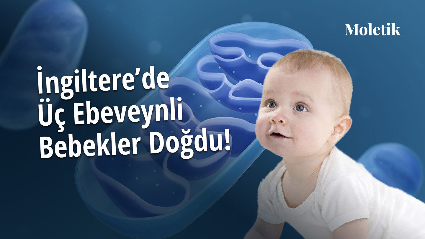 Üç Ebeveynli Bebekler Doğdu! Kalıtsal Mitokondriyal Hastalıklar Tarih mi Oluyor?