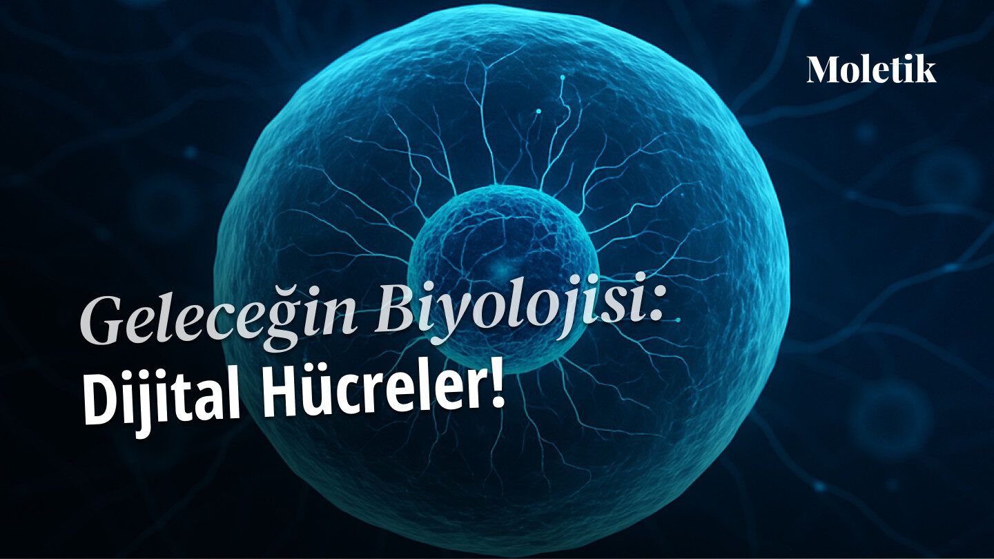 Biyoloji Kodla Yapılır mı? Sanal Hücre Projeleri Ne Vaat Ediyor?