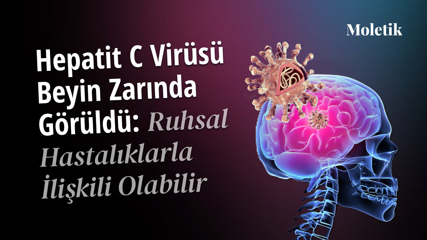 Hepatit C Virüsü Beyin Zarında Görüldü: Ruhsal Hastalıklarla İlişkili Olabilir mi?