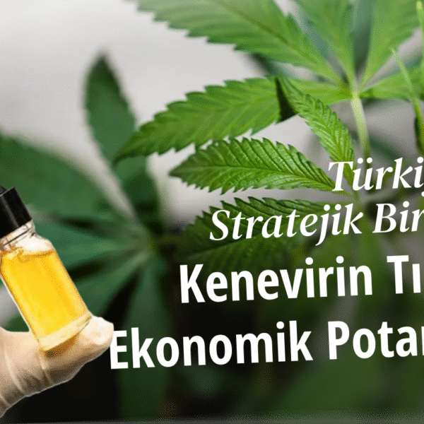 Kenevirin Tıbbi ve Ekonomik Potansiyeli: Türkiye İçin Stratejik Bir Fırsat