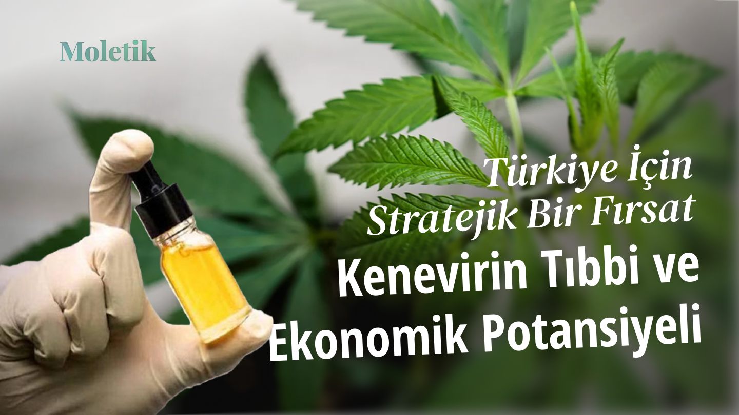 Kenevirin Tıbbi ve Ekonomik Potansiyeli: Türkiye İçin Stratejik Bir Fırsat