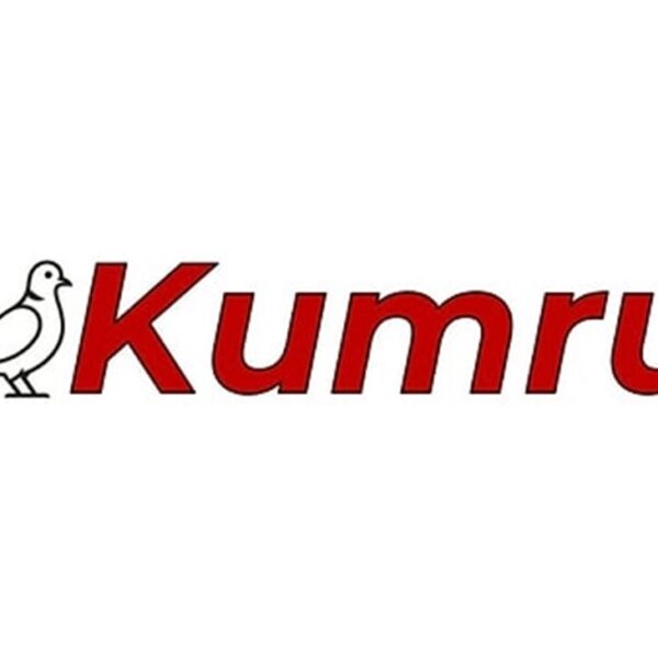 Türkiye’nin Yerli Büyük Dil Modeli: Kumru