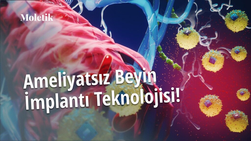 Ameliyatsız Beyin İmplantı Teknolojisi: Nörotıpın Geleceği Şekilleniyor
