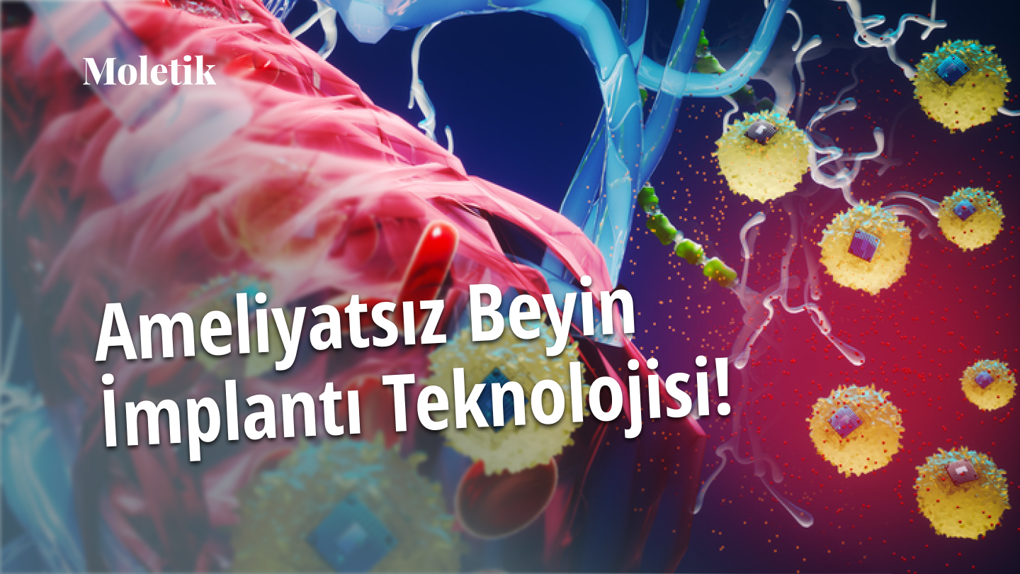 Ameliyatsız Beyin İmplantı Teknolojisi: Nörotıpın Geleceği Şekilleniyor