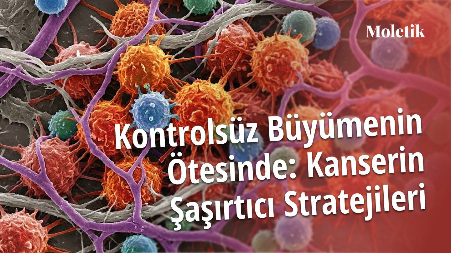 Kontrolsüz Büyümenin Ötesinde: Kanserin Şaşırtıcı Stratejileri