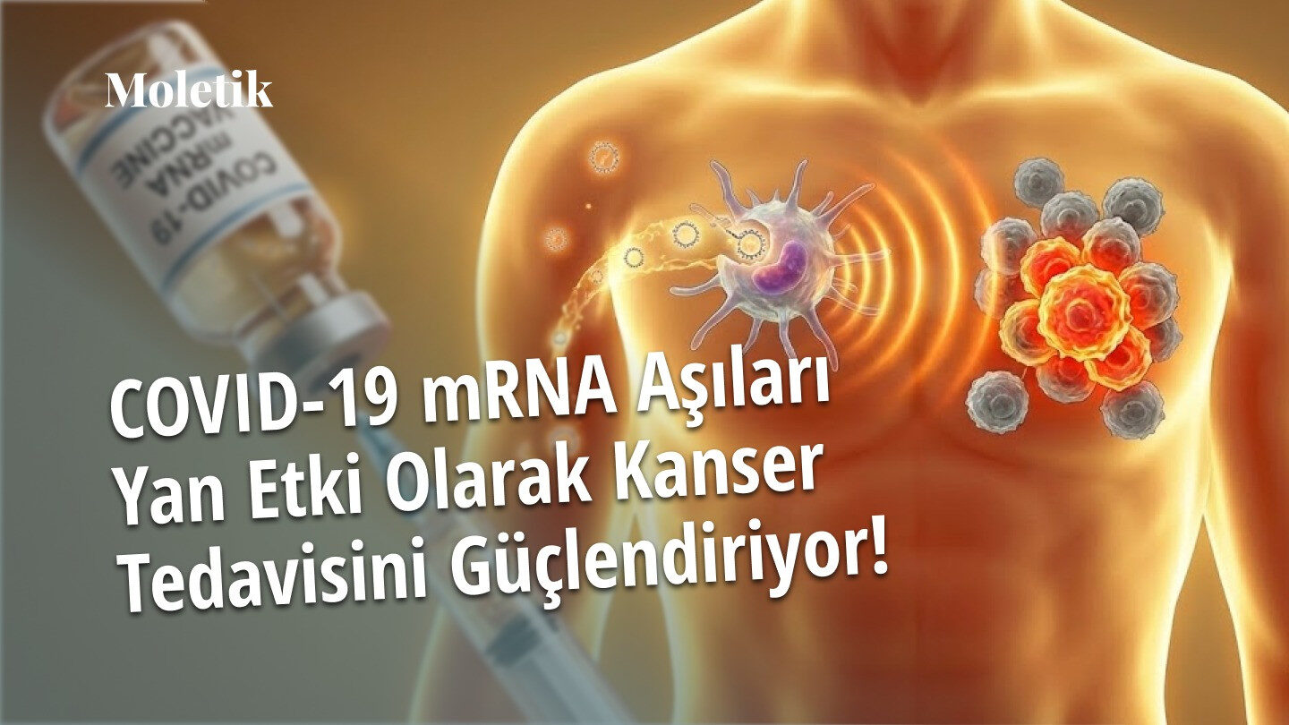 COVID-19 mRNA Aşıları Yan Etki Olarak Kanser Tedavisini Güçlendiriyor!